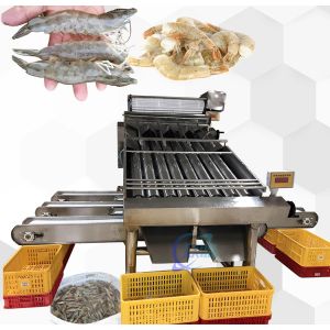 Practical Shrimp Sorting Equipment Multiscene Anti Corrosion