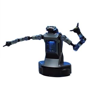 Supplier Artificial Intelligence Bipedal General Purpose Wheeled Robot AI Human