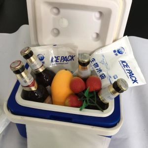 Cool Custom Gel Ice Packs Viscous Gel Moisture Refrigerant Cold Ice Packs For