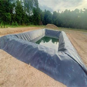 0.75mm 1mm HDPE Geomembrane for Landscaping and Fish Farming Impervious Pond