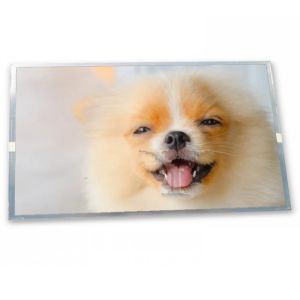 Cheap 7.0-Inch WLED TFT LCD Display Module AT070TN07V.D with 480*234 Resolution Various Applications ODM for LCD Modules for sale