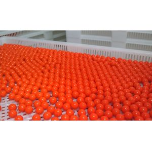 CS Paintball Automatic Encapsulation Machine / Precise Control System / 8000 -