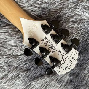 Custom Zakk Wylde Audio in Kinds Color Electric Guitar with Bound Ebony