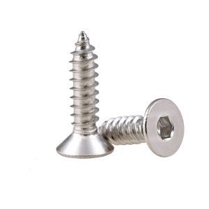 Precision Micro Screw M0.6-M3 Countersunk Head Torx Small Screw Self Tapping for