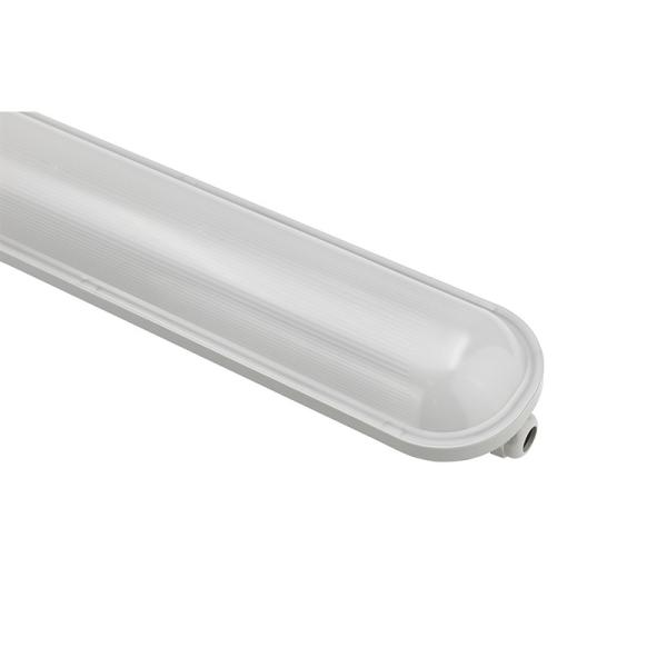 Quality Durable 4FT IP65 Waterproof LED Light 40W 60W Multifunctional Stable wholesale