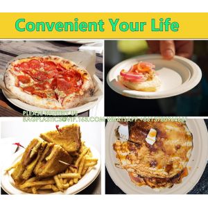 Compostable Paper Plates Set With Extra Long Utensils, Sugarcane Fibers