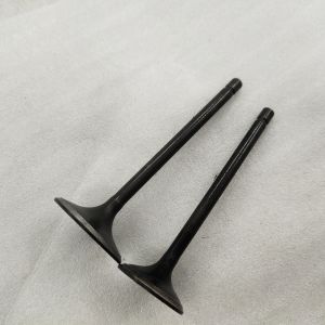 DAYANG Three Wheel Motorcycle Tricycle Black Iron Engine Forging Valve with