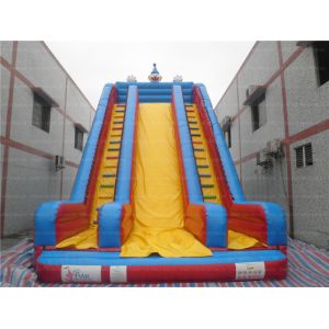 Cheap Giant Inflatable Clown Slide (CYSL-14) for sale