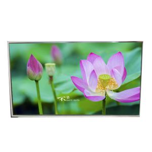 Cheap LD490EQG-FNA1 LCD Display Panel 3840*2160 LCD Screen for sale