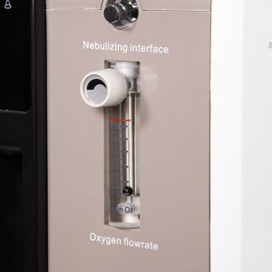 Healthcare Medical Oxygen Concentrator High Purity Continuous Flow Oxygen