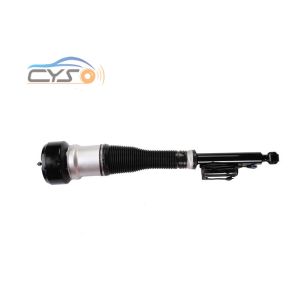 2213205613 , 2213205813 Automotive Rear Right Air Shock