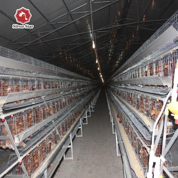 Quality Newest Design Big Size A Type Battery Chicken Cage System For Poultry wholesale