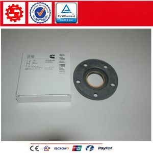 China Cummins Diesel Engine Crankshaft Oil Seal 3892020 on sale