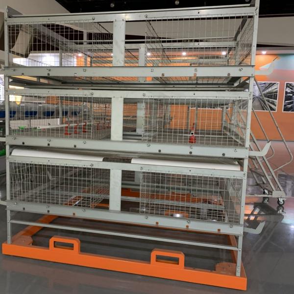 Quality Chickens Farming Feeding 4 Cell H Type Poultry Cage wholesale
