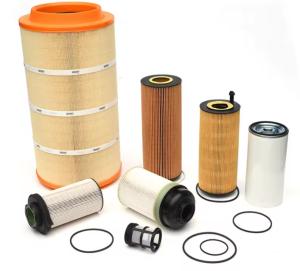 Cheap Oxygen Filter Custom H13 H14 Hepa Deep Pleated Filter Hepa Filter Mushrooms 13177871224 for sale
