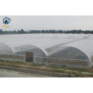 China Agricultural Tunnel Multi Span PE Film Greenhouse With Ventilation System on sale