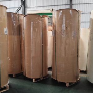 100% Wood Pulp Raw Material Paper Cup Bottom Roll For Making PE Coated Paper