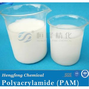 Mining Industry Anionic Nonionic Flocculant Polyacrylamide For Mining Applicatio
