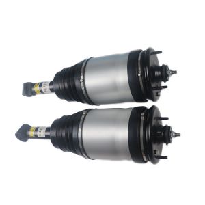 RPD501100 Rear Pair Air Suspension Strut Shock Absorber For Range Rover Sport