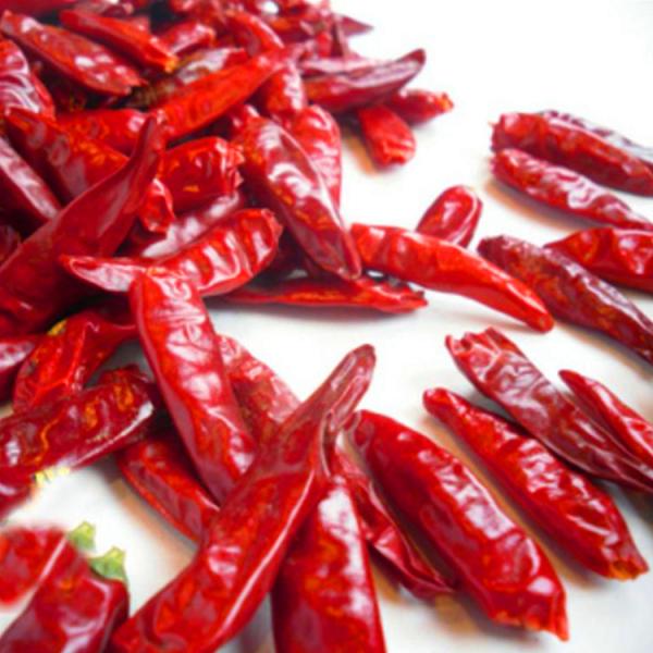 Halal Stemless Dried Red Chilli Peppers With 14%Max Moisture - Cool And Dry