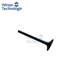 WESPC Intake Valve T423393 For Perkins 1106A-E66 70 1106C-E66 70 1106D-E66 70