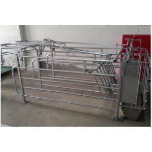 Stainless Steel 2.0mm Thick Swine Hog Farrowing Crates
