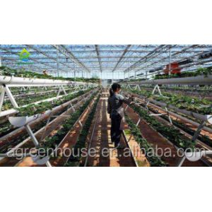 Sided Ladder PVC Soilless Hydroponic System Automatic Vertical Farming System