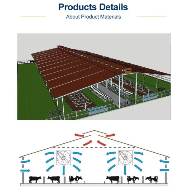 Q235B ASTM A36 Prefabricated Steel Cow Shed With Q355B Beams 20lb Roof Load