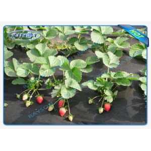 Black Permeable Non Woven Landscape Fabric For Ground Control / Strawberry