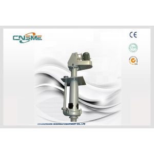 Vertical Cantilever Reverse Engineer Slurry Pump With Single Casing