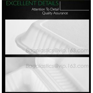 School lunch box, Fresh Preserved Compartment PLA Lunch Box, Disposable clear