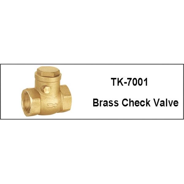 Seal Hydraulic Oil Filter Water Pump 1 Inch Brass Foot Valve Y Pattern Strainer