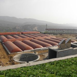 Green Material Featuring Retention Time 15 To 30 Days Designed for Stability and