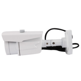 ￠5X42PCS and 40M IR Range LED, 1/4' SHARP CCD, 600TVL Waterproof Infrared Camera