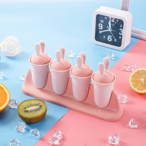 Homemade Popside Mold Reusable Popsicle Molds PP plastic BPA Free, Ice Pop Molds