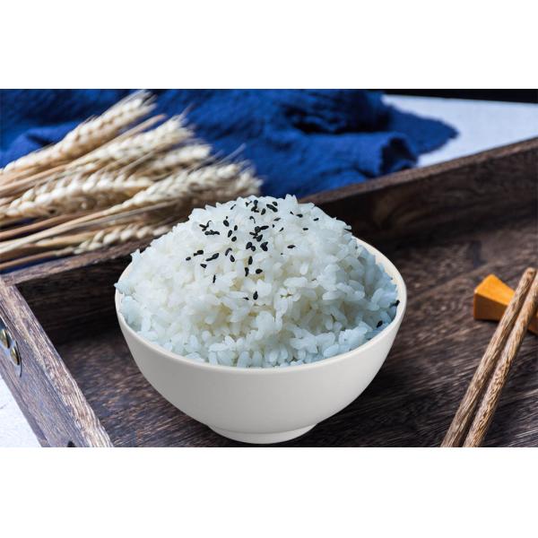 3.5" Small Round Rise Bowl of High Temperature Fired Made White Porcelain