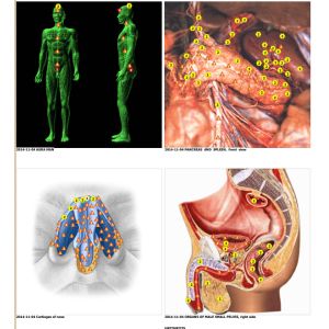Newest Metatron Hunter NLS System 4025 Bioresonance Health Scan and Therapy