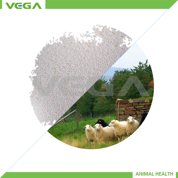 Quality 10% Enrofloxacin Micro-capsule China GMP Manufacturer wholesale