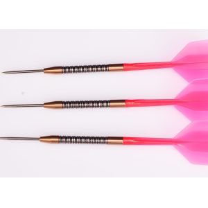 Cheap 21.0g Steel Tip Tungsten 95% for Professional Players for sale