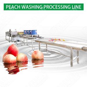 Kelp Seaweed Cleaning Machine Tomato Washing And Drying Machine