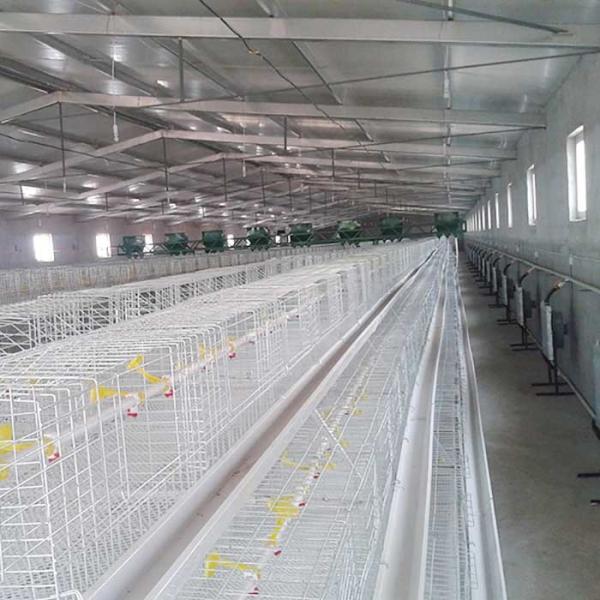 Quality High Efficiency Broiler Chicken Cage Long Lifespan Environmental Friendly wholesale