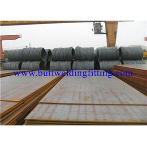 Hot Rolled And Cold Rolled Custom Stainless Steel Sheet ASTM A240 UNS S 31254