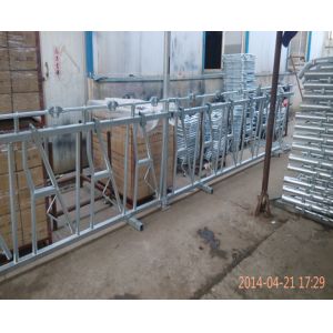 China Stainless Steel Calf Creep Feeder Panels , Durable Cattle Headlock Panels on sale