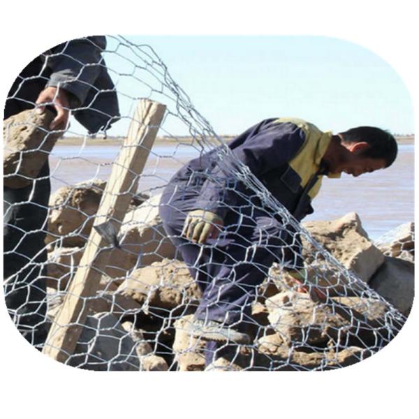 Quality Stone Cages Hexagonal Pvc Coated Gabion Box  2x1x0.5 wholesale