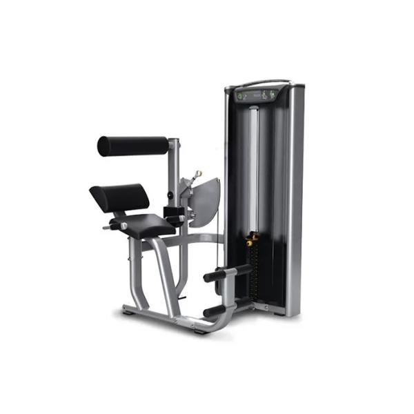 Quality Professional Matrix Exercise Equipment Seated Back Extension Machine wholesale