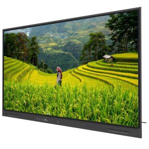 Interactive Flat Panel 75 Inch Android 14 OPS PC Wifi BT USB RJ45 Touch Software