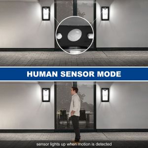 470g Decorative Solar Lights with Warm White LED 3 Modes / Rechargeable Battery