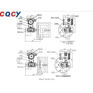PDS863 LEVEL Pressure Transmitter Measure The Liquid Level Remote Setup,