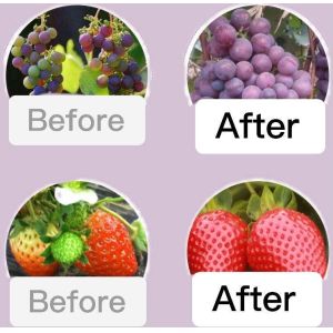 Organic Soil Conditioner Fertilizer Microbial Fermentation Fertilizer