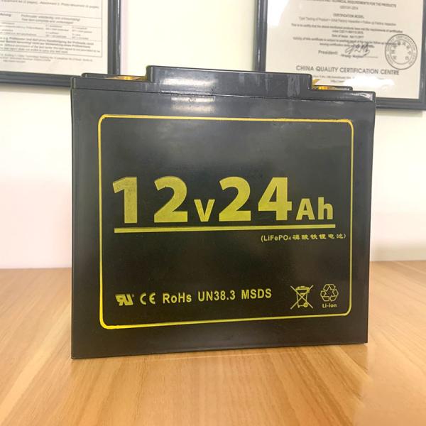 Quality IP65 3000 Times 12v24ah Lifepo4 Lithium Battery FOBERRIA wholesale